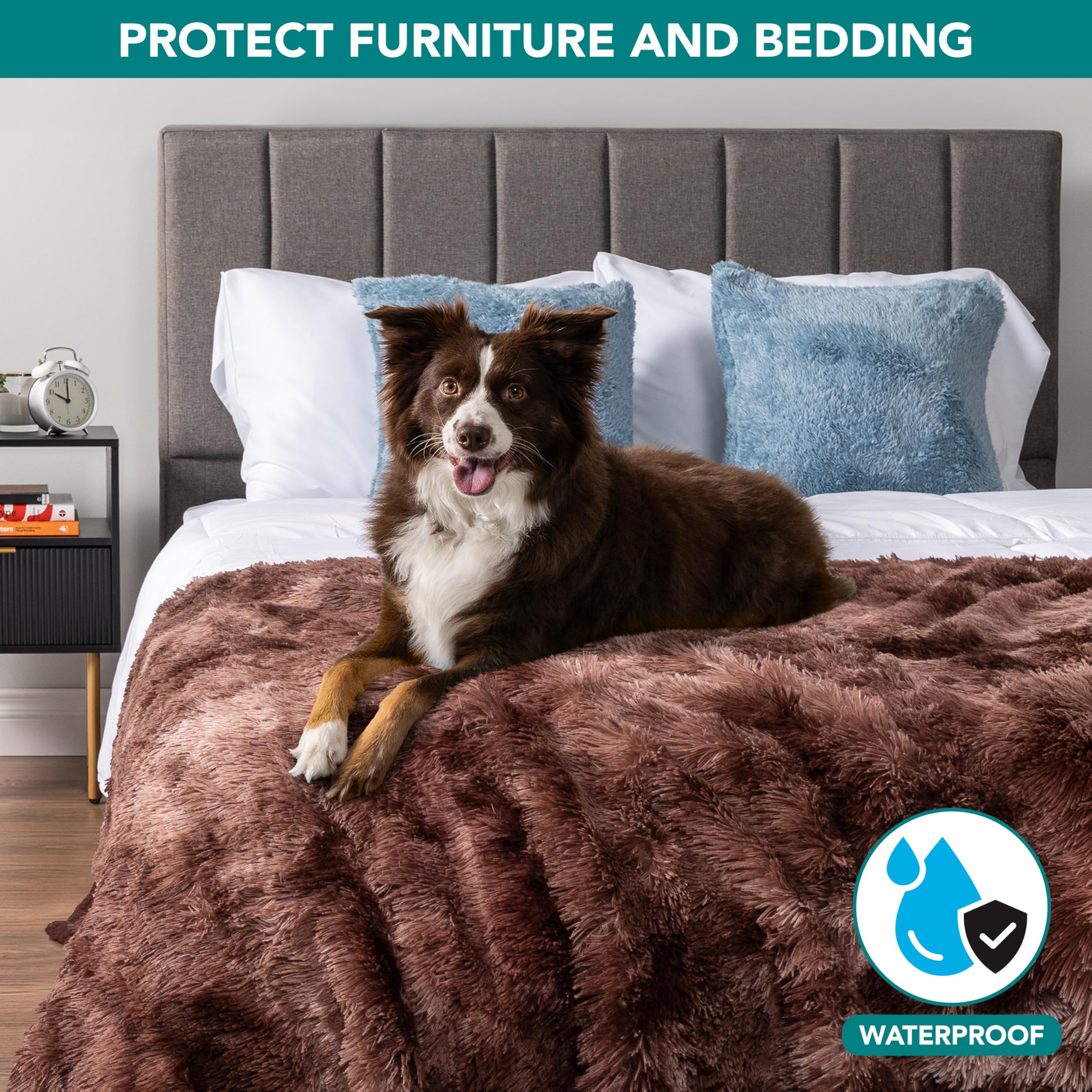 Amazon.com : PetAmi Waterproof Dog Blanket for Couch, Queen Bed